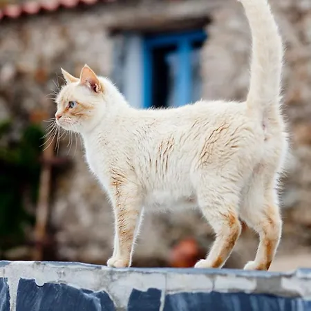 Quinta Da Borboleta * 빌라 노바 드 포이아르스