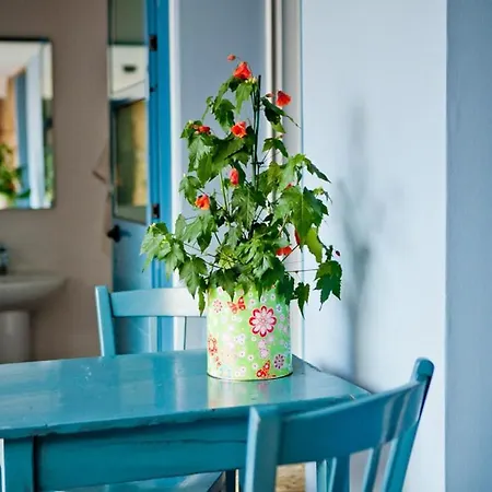 Quinta Da Borboleta 빌라 노바 드 포이아르스