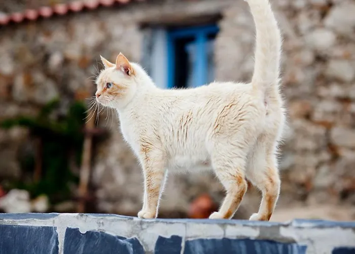 Quinta Da Borboleta * ヴィーラ・ノーヴァ・デ・ポイアレス